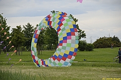 Venice kite festival_0322